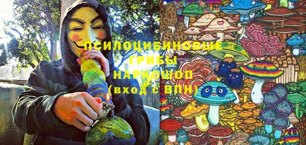 трава Армянск