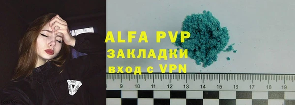 PSILOCYBIN Аркадак