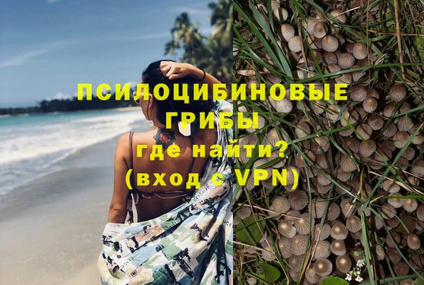 мескалин Балахна