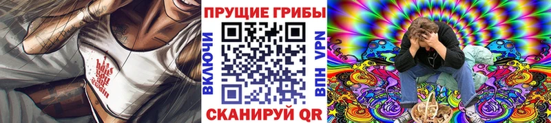 Галлюциногенные грибы Cubensis  kraken как войти  Хилок 